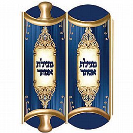 ����� ������ 20 ������