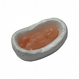 ���� ��� ����� ���� 20 ������