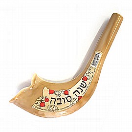 שופר פלסטיק כמו אמיתי שופר פלסטיק כמו אמיתי