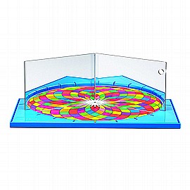 ���� ����� �� ����� ������