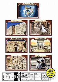 ���� ������ ������� - ����