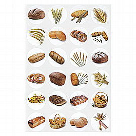 ������ ����� ������� 10 ����