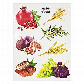 ������ ���� ������ ���� ���� 10 ����