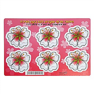 ������ ���� ����� ������ 18 ����19.90