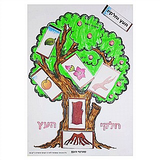 יצירה חלקי העץ 20 יחידות