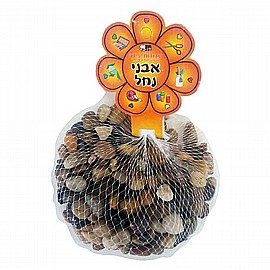 ���� ��� 500 ���