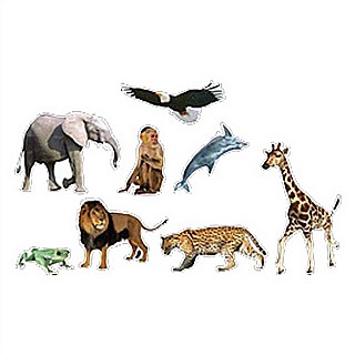 ������ ��� ���� �� 64 ������