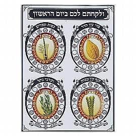 יצירה לסוכות ולקחתם 20 יחידות יצירה לסוכות ולקחתם 20 יחידות
