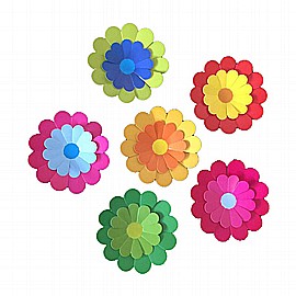 ����� ������ ����