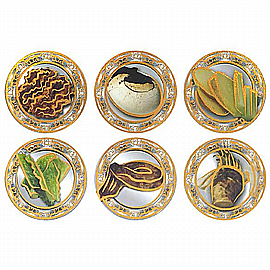 ������ ���� ��� ���� 20 ������