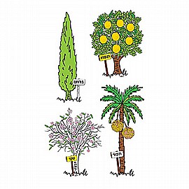 ��� ����� ������ ������