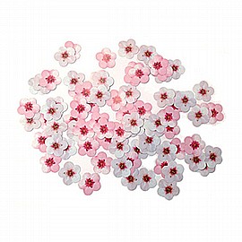 ������ ���� ����� ������