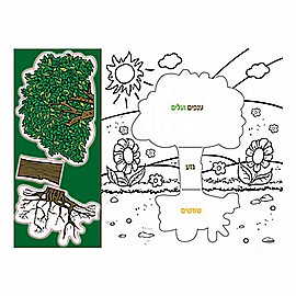 ����� ���� ��� 18 ������