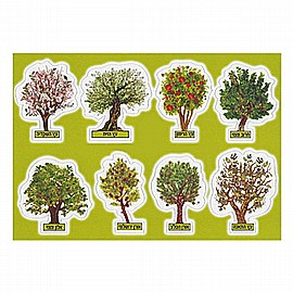 ������ ��� ����� 18 ������