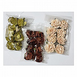 ��� ���� ����� ����� 24 ������