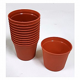 ���� ������ ������ ��� 12 ������