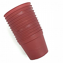 ���� ������ ������ 12 ������