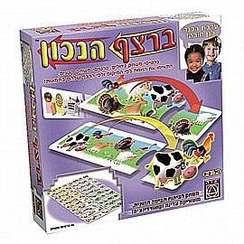 ���� �����