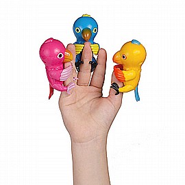 ���� ���� ������