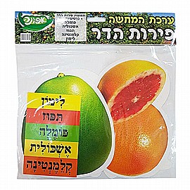 ���� ����� ����� ���