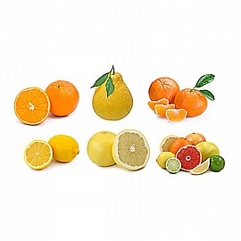 ������ ����� ��� 20 ������