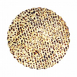 ����� ��� ���� 20 ������