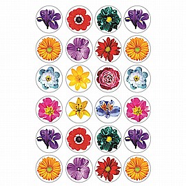 ������ ����� ������ ����� 10 ����