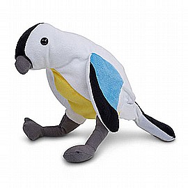 ���� ���� ����� �������