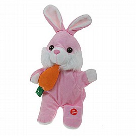 ���� ���� ����� ��� �� ���