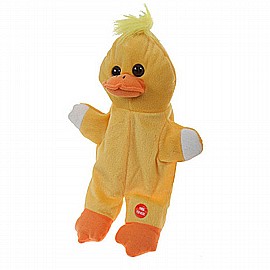 ���� ���� ����� �����