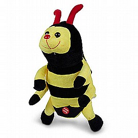 ���� ���� ����� �����