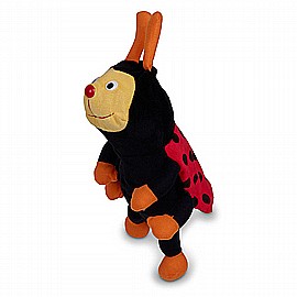 ���� ���� ����� �������