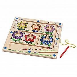 ���� ����� ����� �� ���� �����