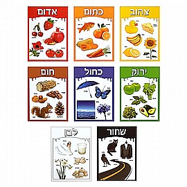 ���� ������ �����