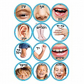 ������ ���� ���� 10 ����