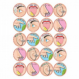 ������ ���� ������ 10 ����