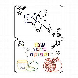 ����� ���� ����� ������ 20 ������