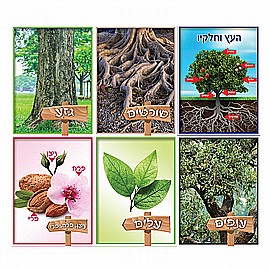 ���� ������ ���� ���