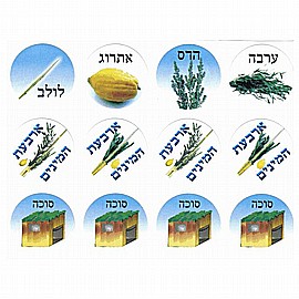 מדבקות גדולות ארבעת המינים 10 דפים מדבקות גדולות ארבעת המינים 10 דפים