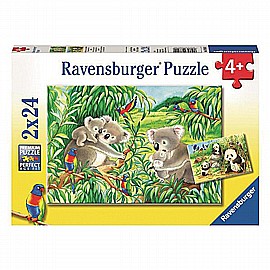 ���� 24*2 ����� - ���� ����� ������