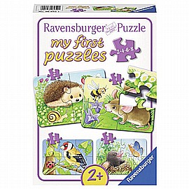 ����� ������ ��� - ����� �����