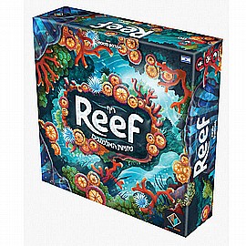 ���� ����