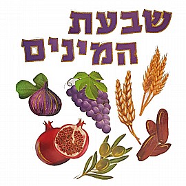 ���� ����� ���� ���� - ���� ������