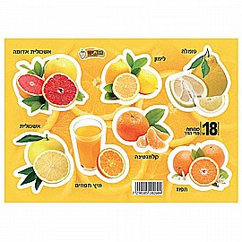 ������ ����� ��� 18 ������