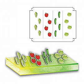 ����� ������� ������ ����� ��� ���� 36 ������