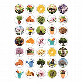 ������ ���� �� ���� ����� 10 ����