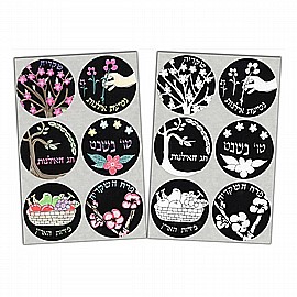 ������ ��� ����� �� ���� 10 ����